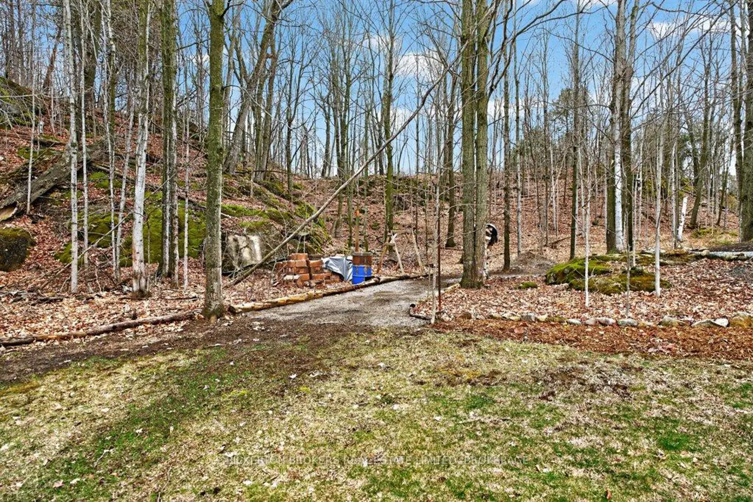 Additional image 9 of 224 Big Hill Road