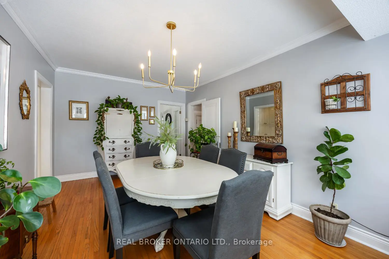 18 Concession Street photo 4