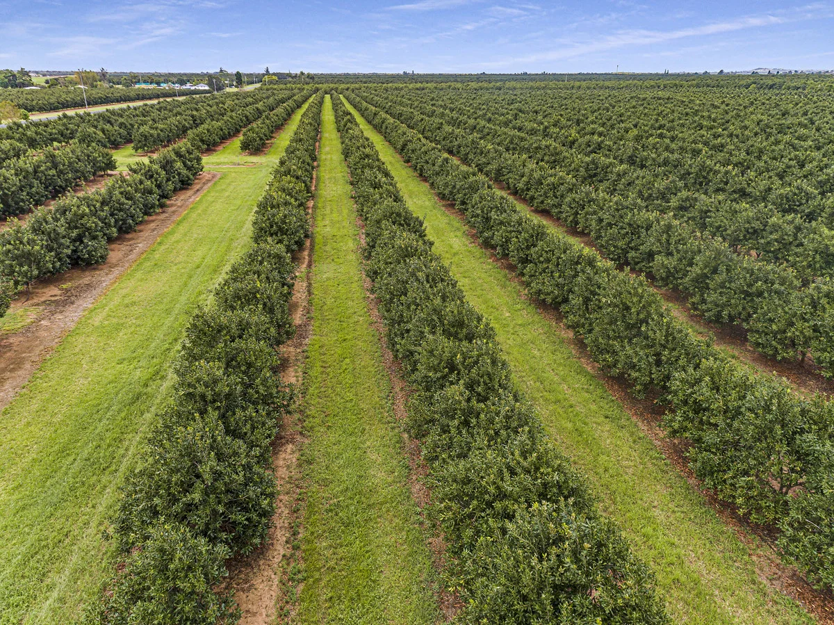 Additional image 19 of Meadowvale QLD 4670