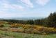Plot 2 North of Drumcairn Farm, Abernethy, PH2 9LT photo 3