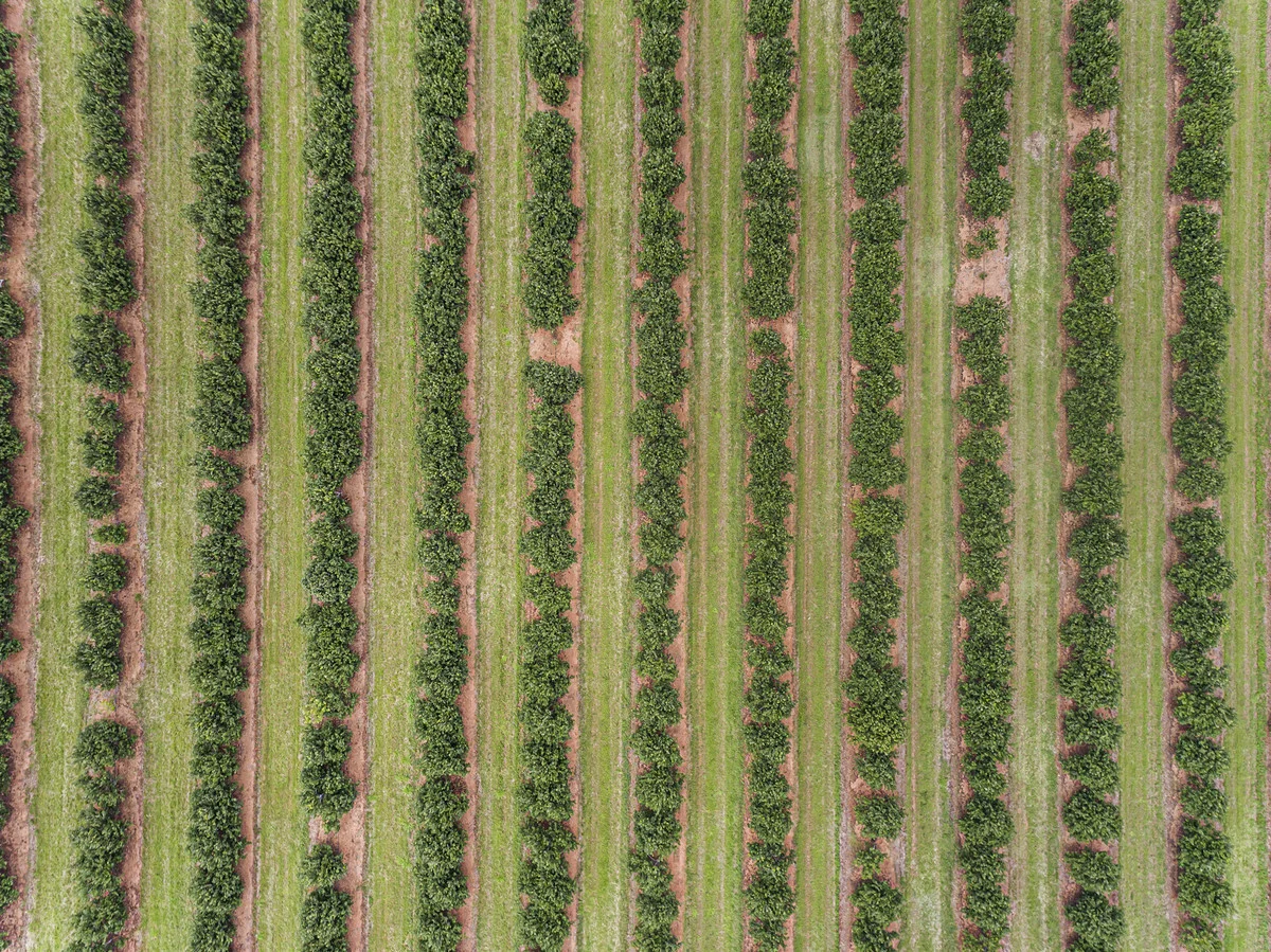 Additional image 22 of Meadowvale QLD 4670