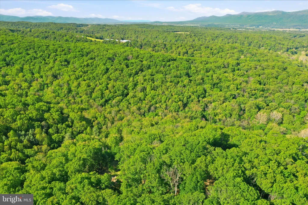 Additional image 16 of Lot 57 Park View Lane, Shenandoah, VA 22849