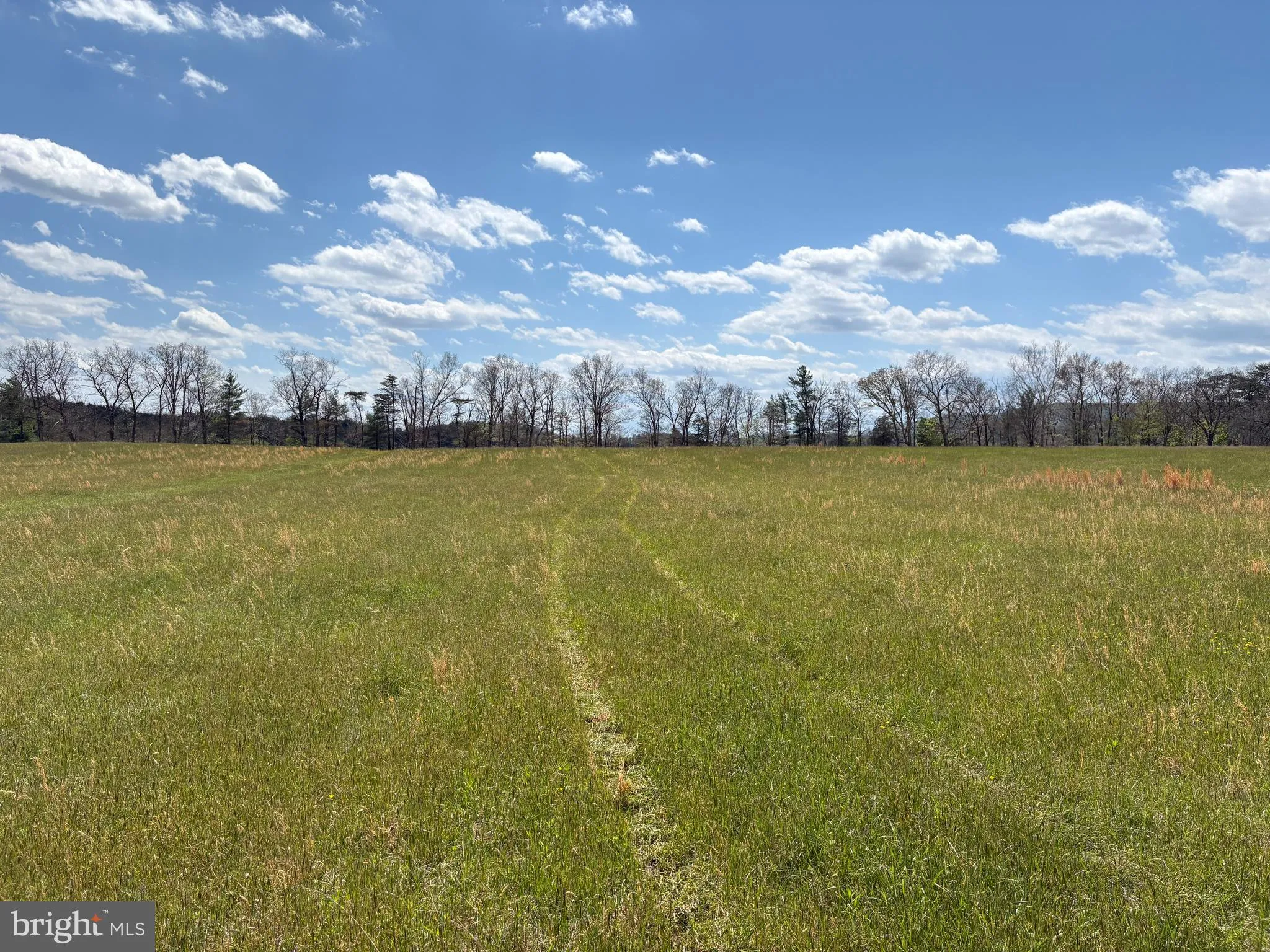 Additional image 57 of 8.25 AC Walnut Tree Lane, Paw Paw, WV 25434