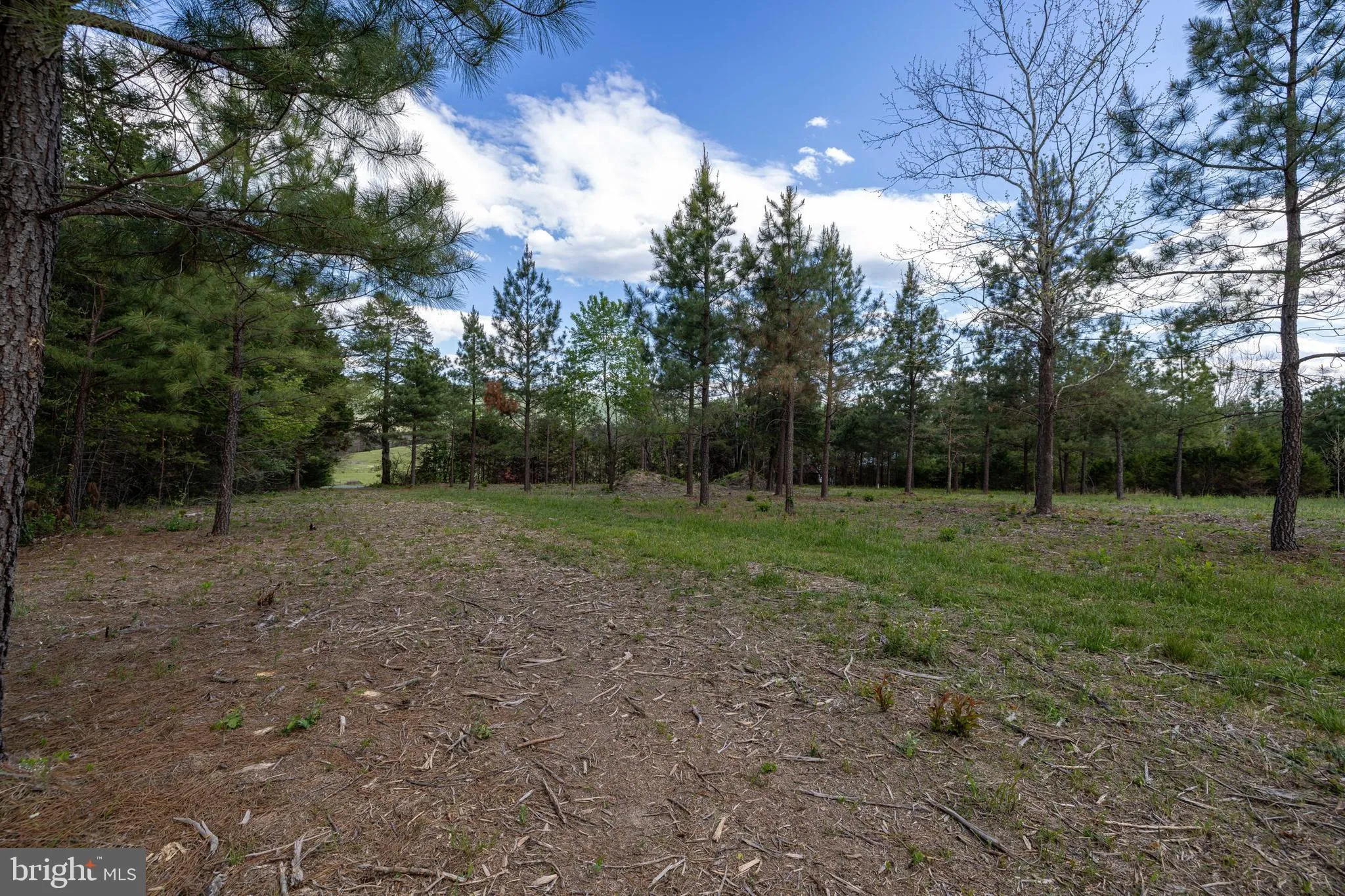 Additional image 61 of Boliver Road, Fort Valley, VA 22652