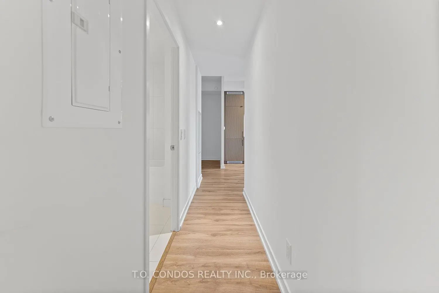 20 Edward Street 1019