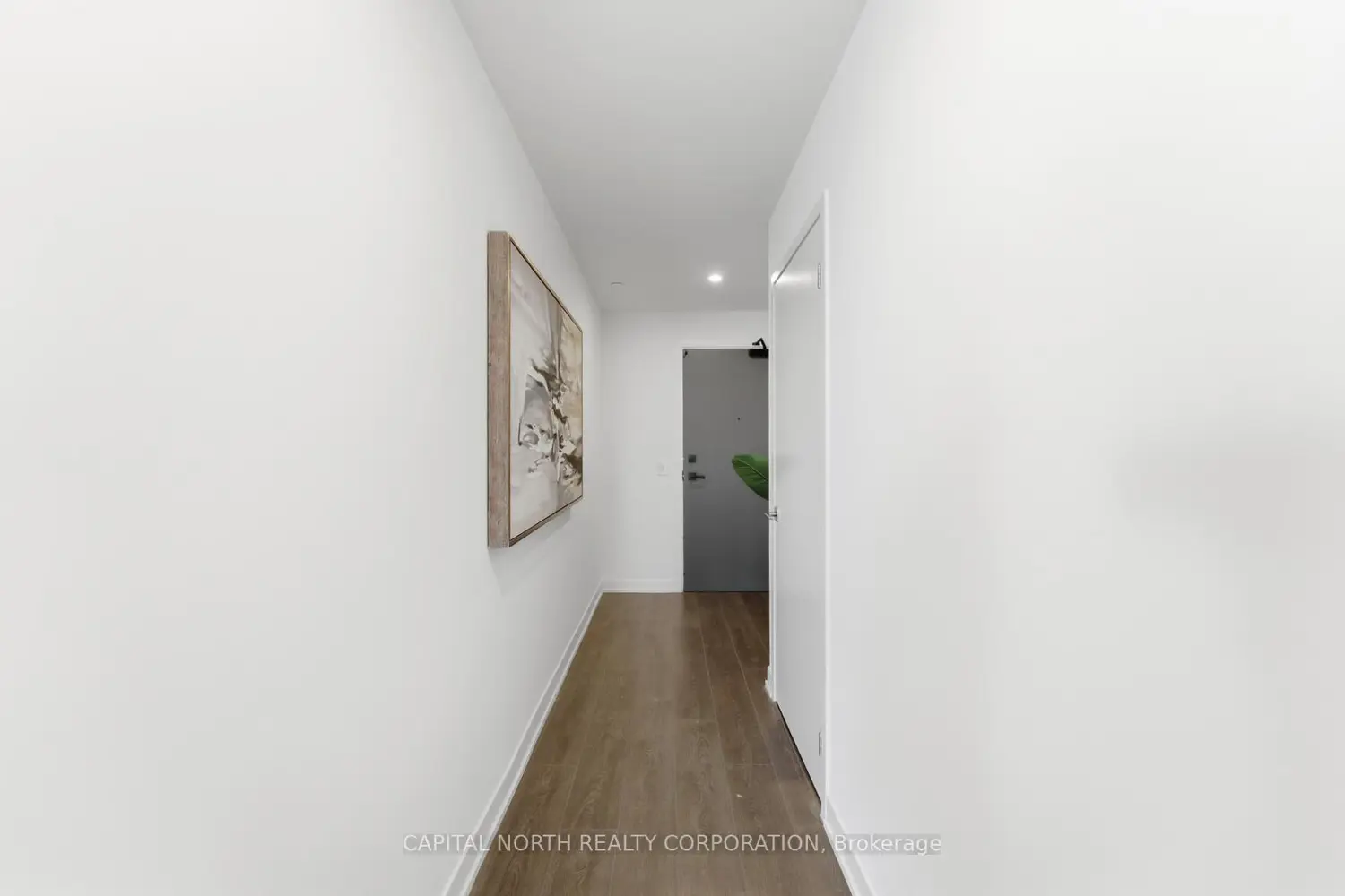 15 Holmes Avenue 2804 photo 2