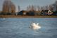 Additional image 17 of Radleigh at Highgrove Highgrove, Main Road, Bosham PO18