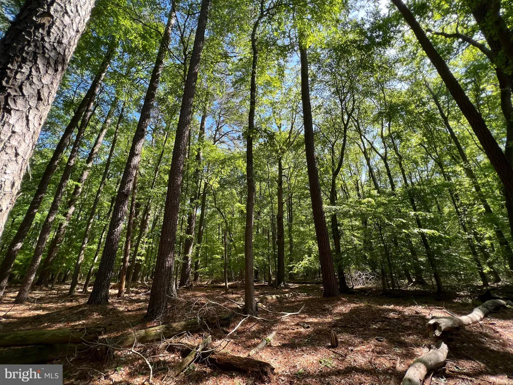Additional image 11 of Parcel 40 Revells Neck Road, Westover, MD 21871