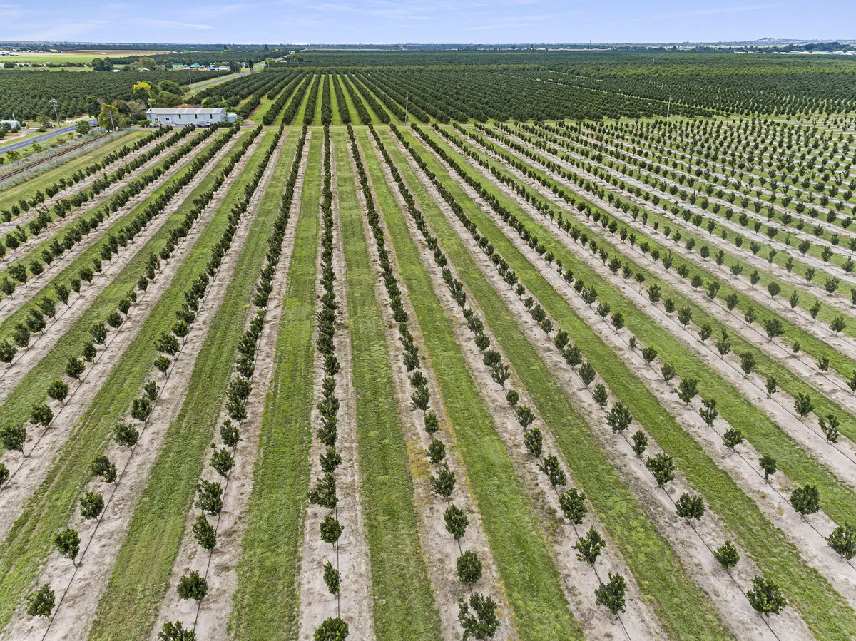 Additional image 13 of Meadowvale QLD 4670