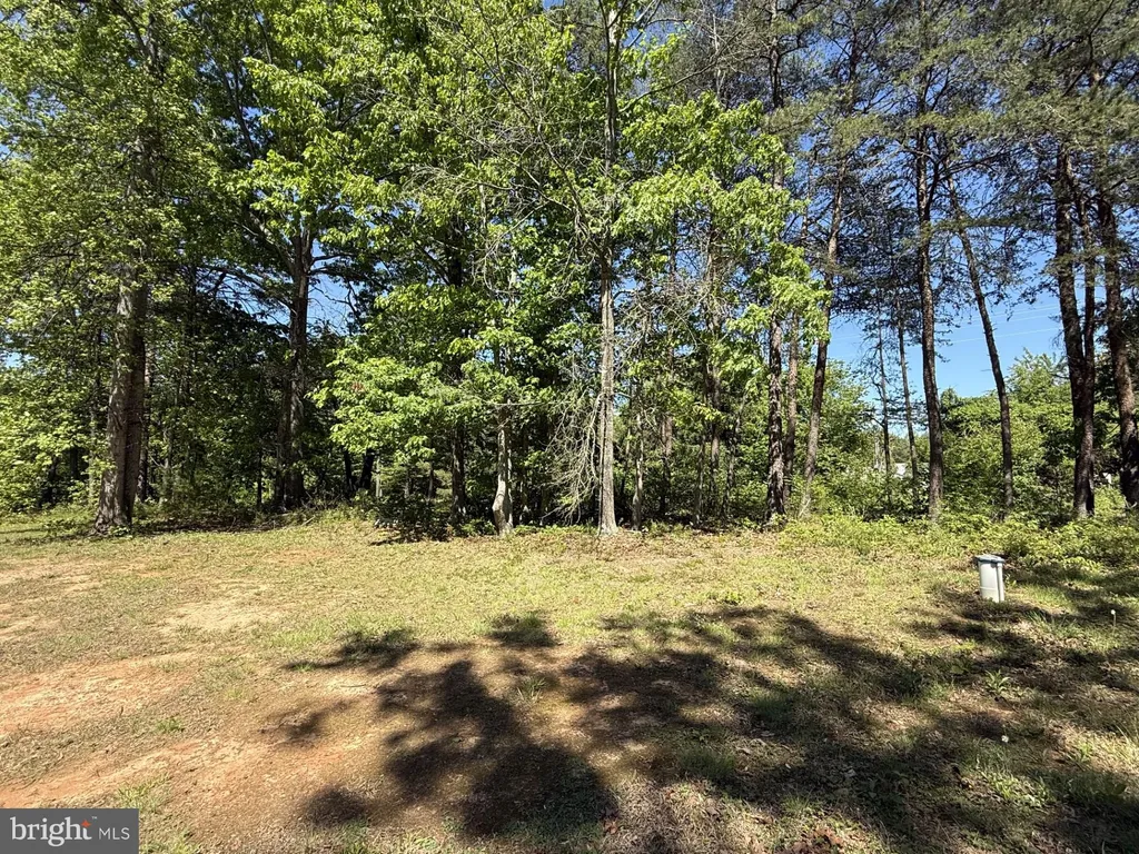 10374 Tower Road, Unionville, VA 22567