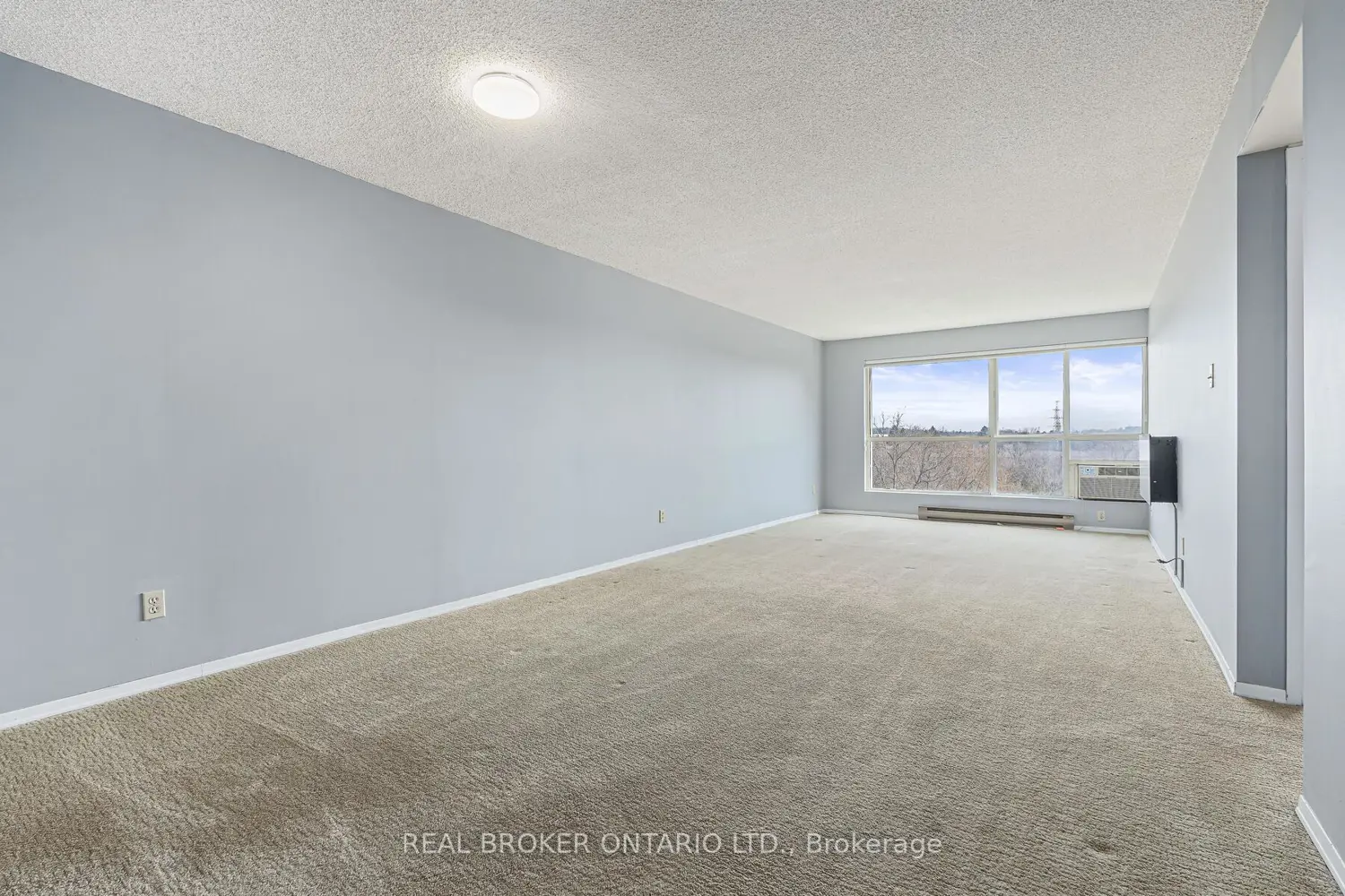 358 Waterloo Avenue 606 photo 4