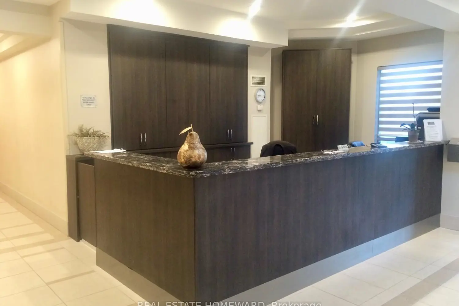 50 Disera Drive 108 photo 3