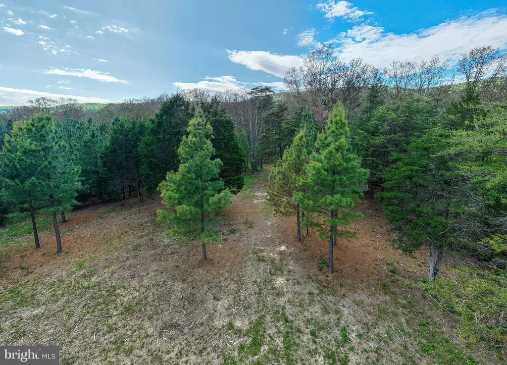 Additional image 10 of Boliver Road, Fort Valley, VA 22652