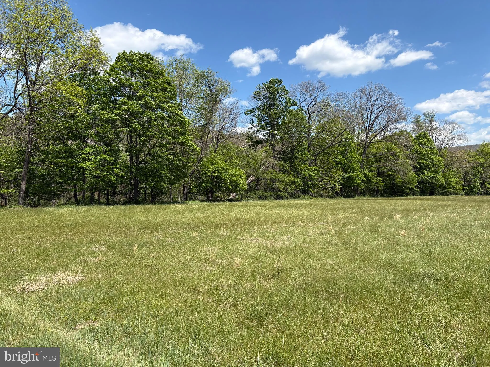 Additional image 51 of 8.25 AC Walnut Tree Lane, Paw Paw, WV 25434