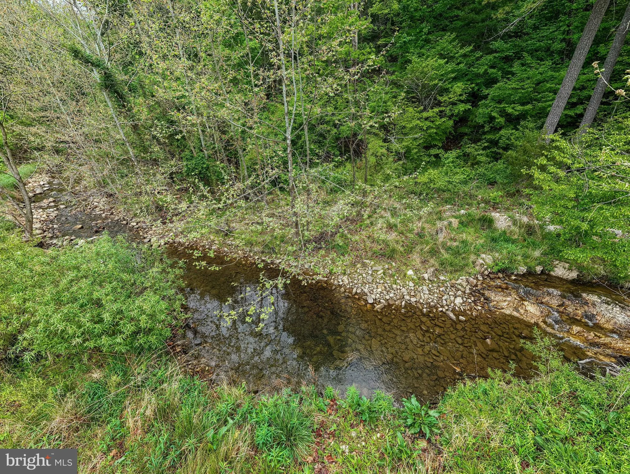 Additional image 148 of 2645 Dry Run Road, Luray, VA 22835