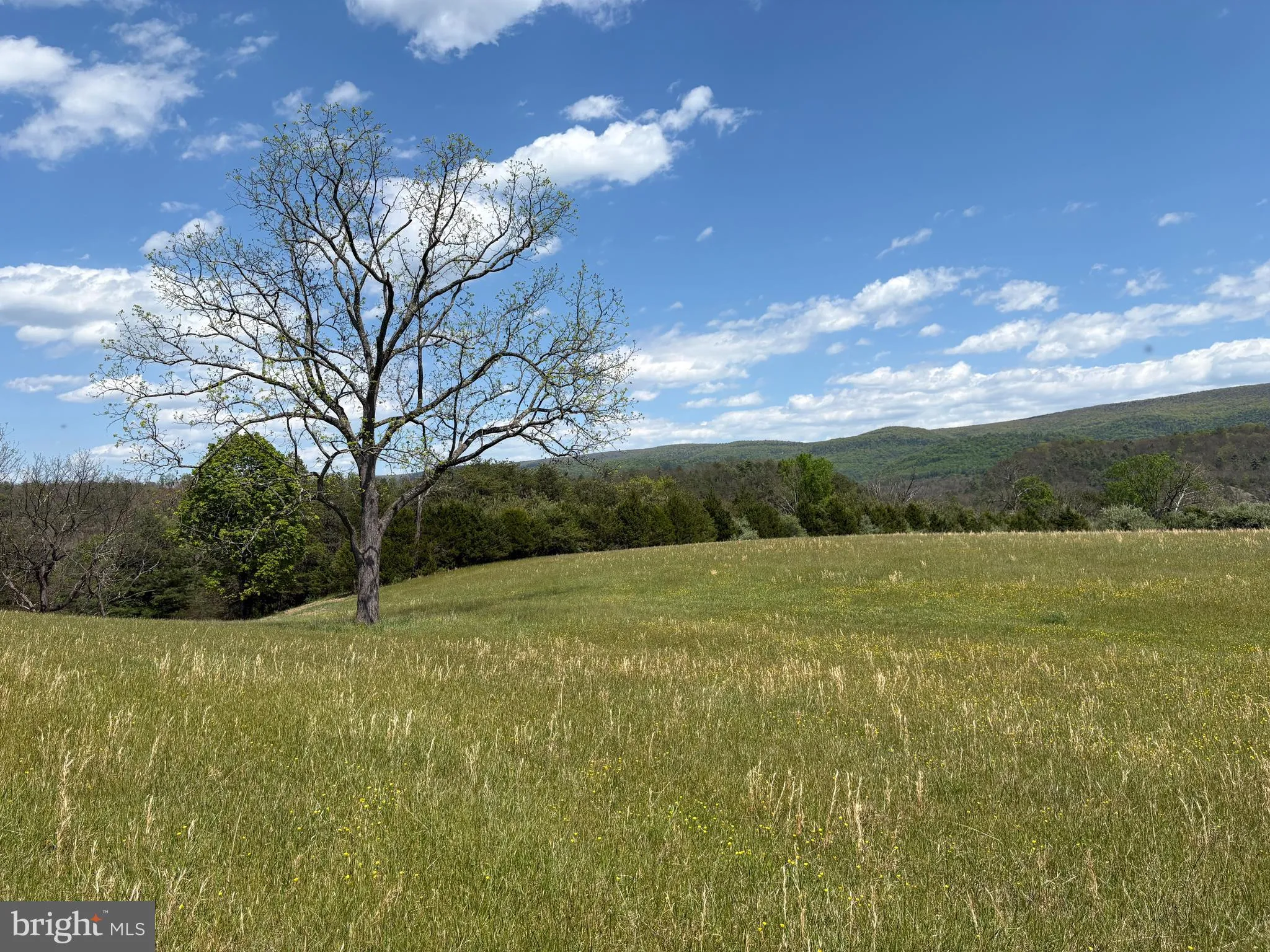 Additional image 55 of 8.25 AC Walnut Tree Lane, Paw Paw, WV 25434