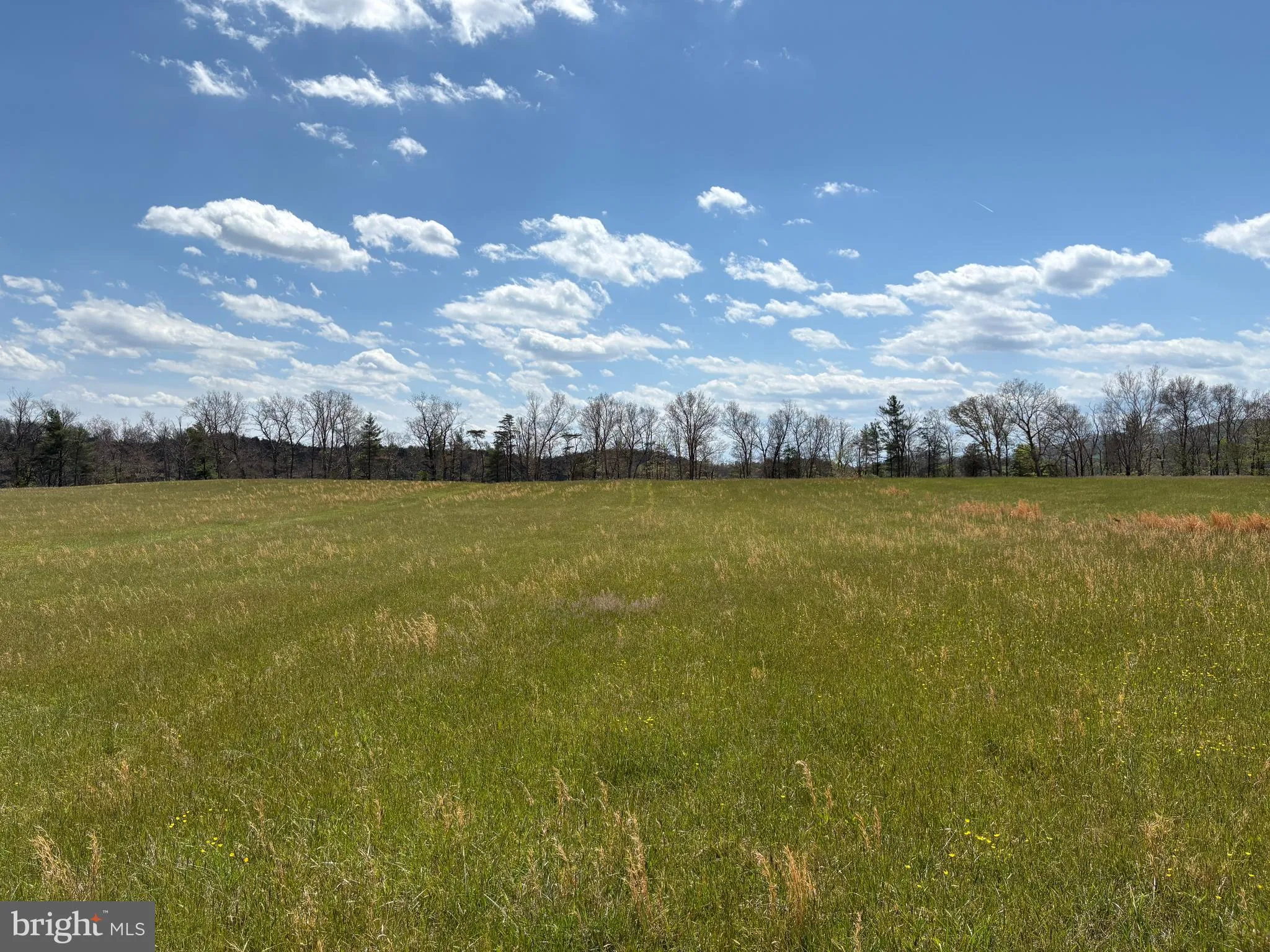 Additional image 53 of 8.25 AC Walnut Tree Lane, Paw Paw, WV 25434