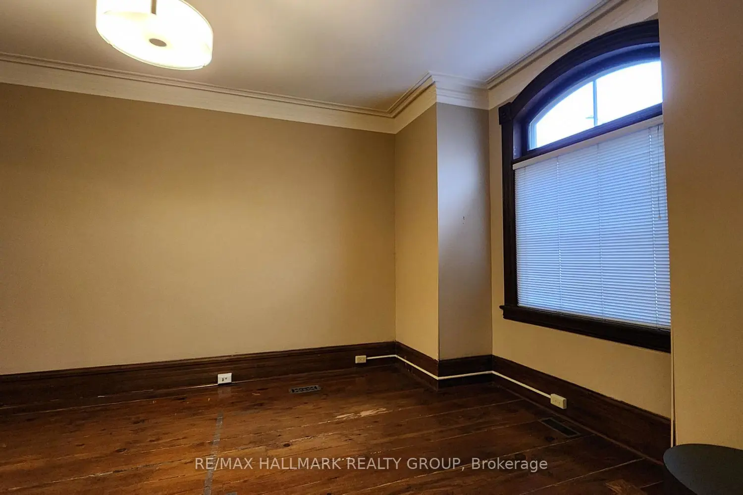 Additional image 4 of 113 Murray Street