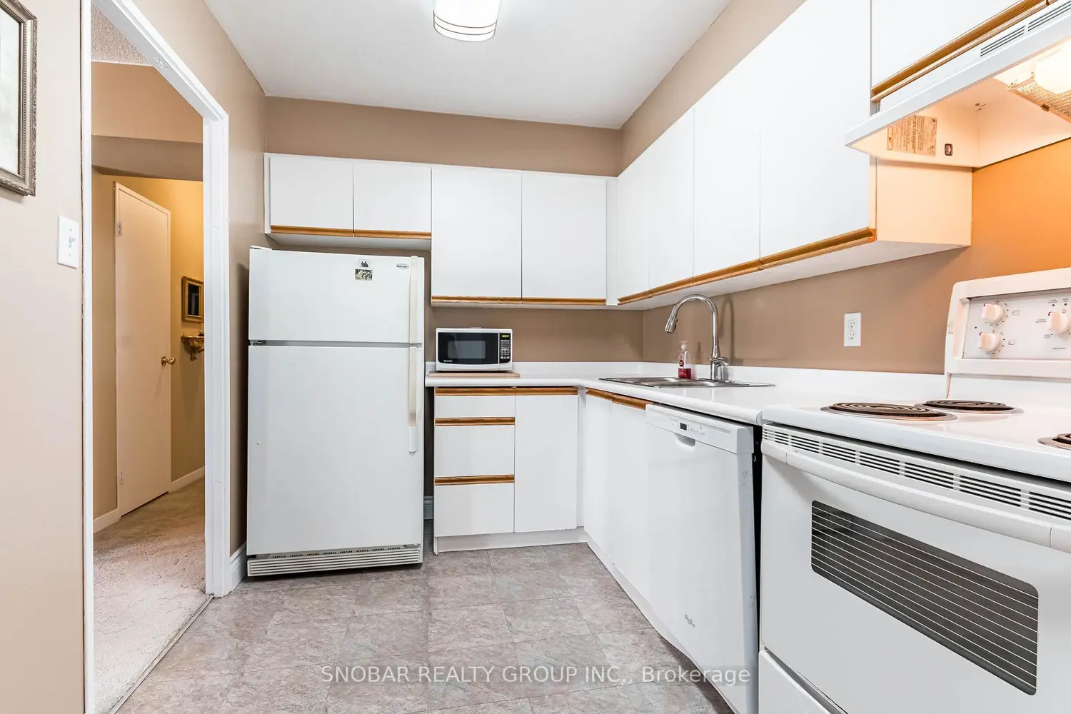 50 Elm Drive 1110 photo 4