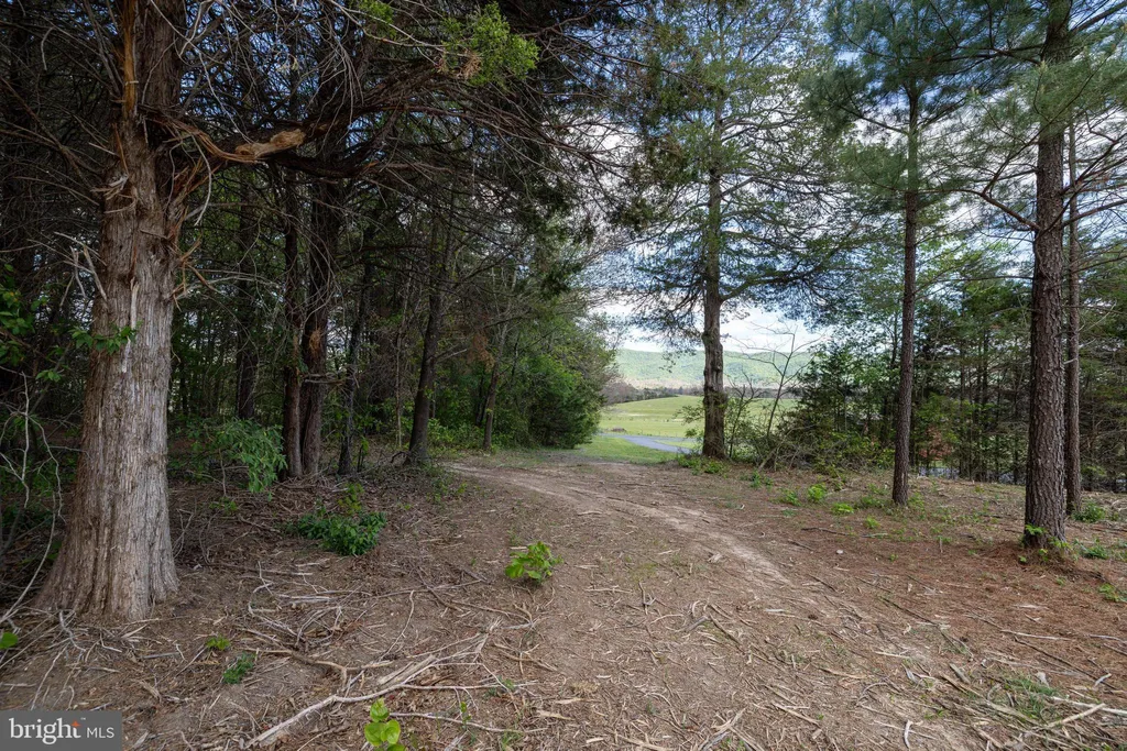 Additional image 13 of Boliver Road, Fort Valley, VA 22652