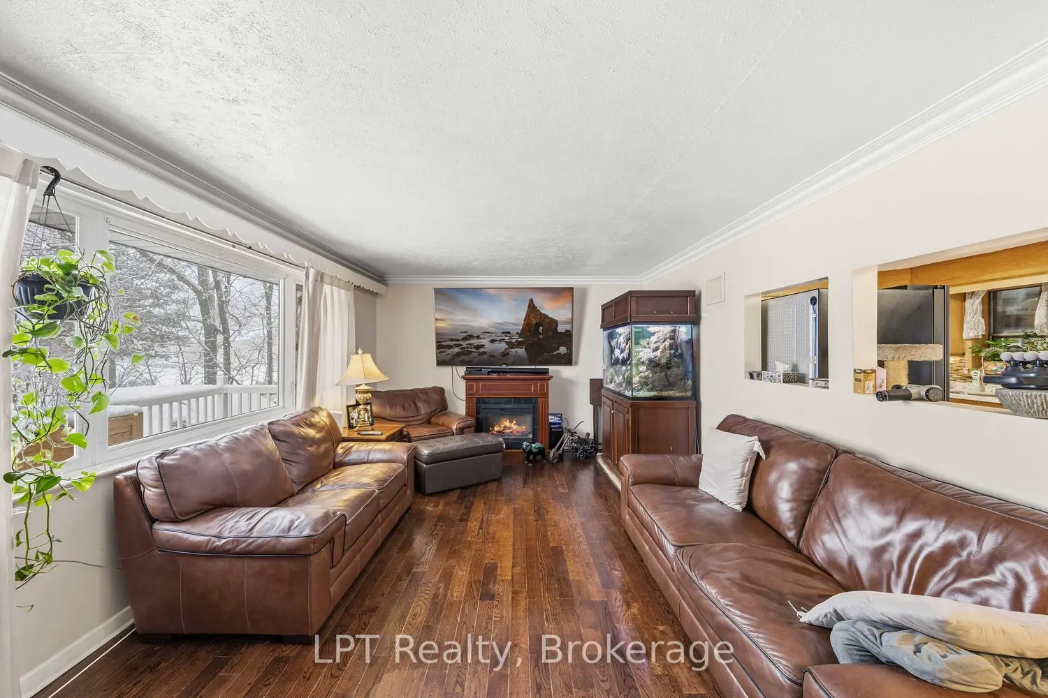 127 Kitchener Road photo 4