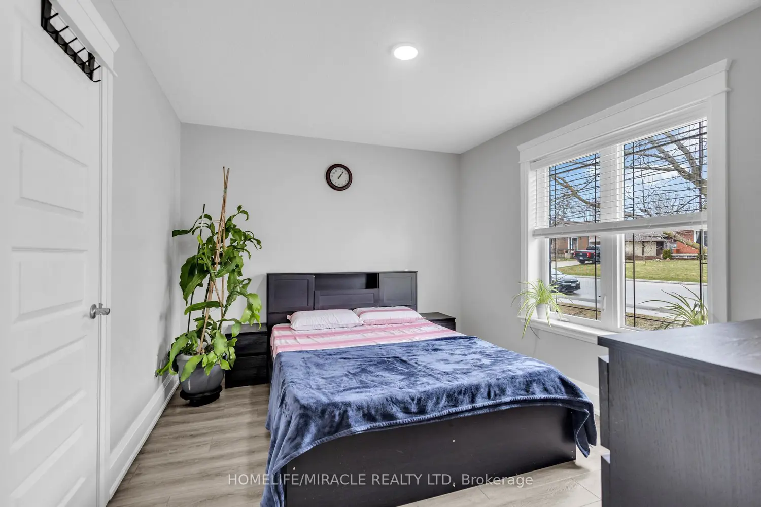 172 Miller Street photo 3