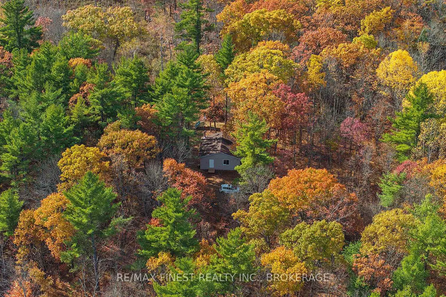 1131A Moon Road photo 4