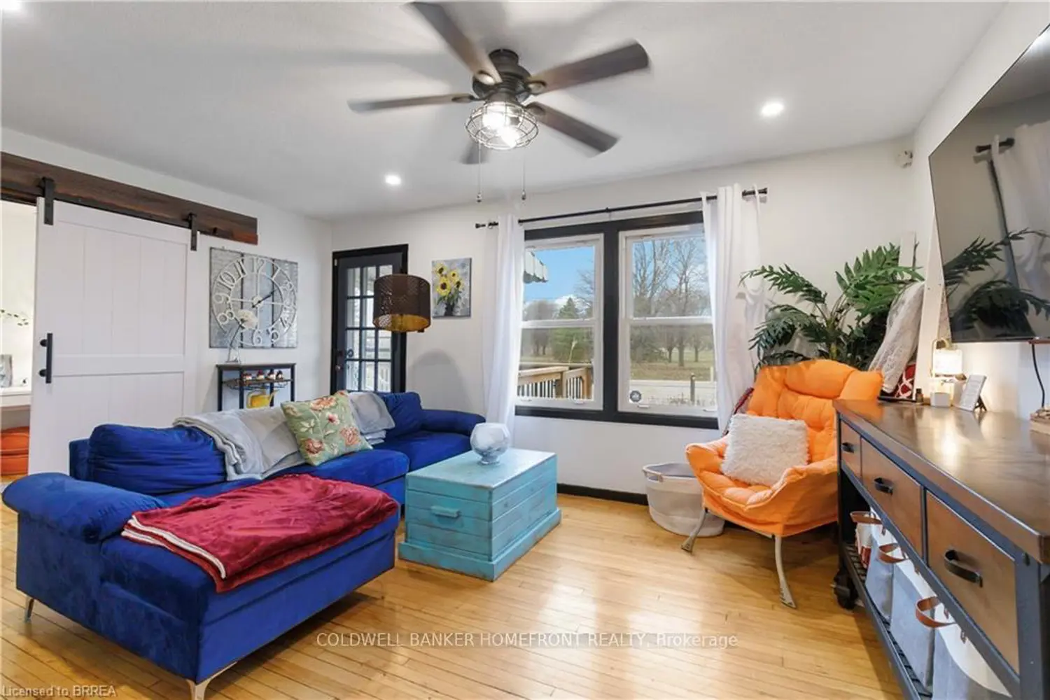 213 Elgin Street photo 4