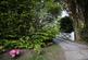 The Drive, Maresfield TN22 photo 2