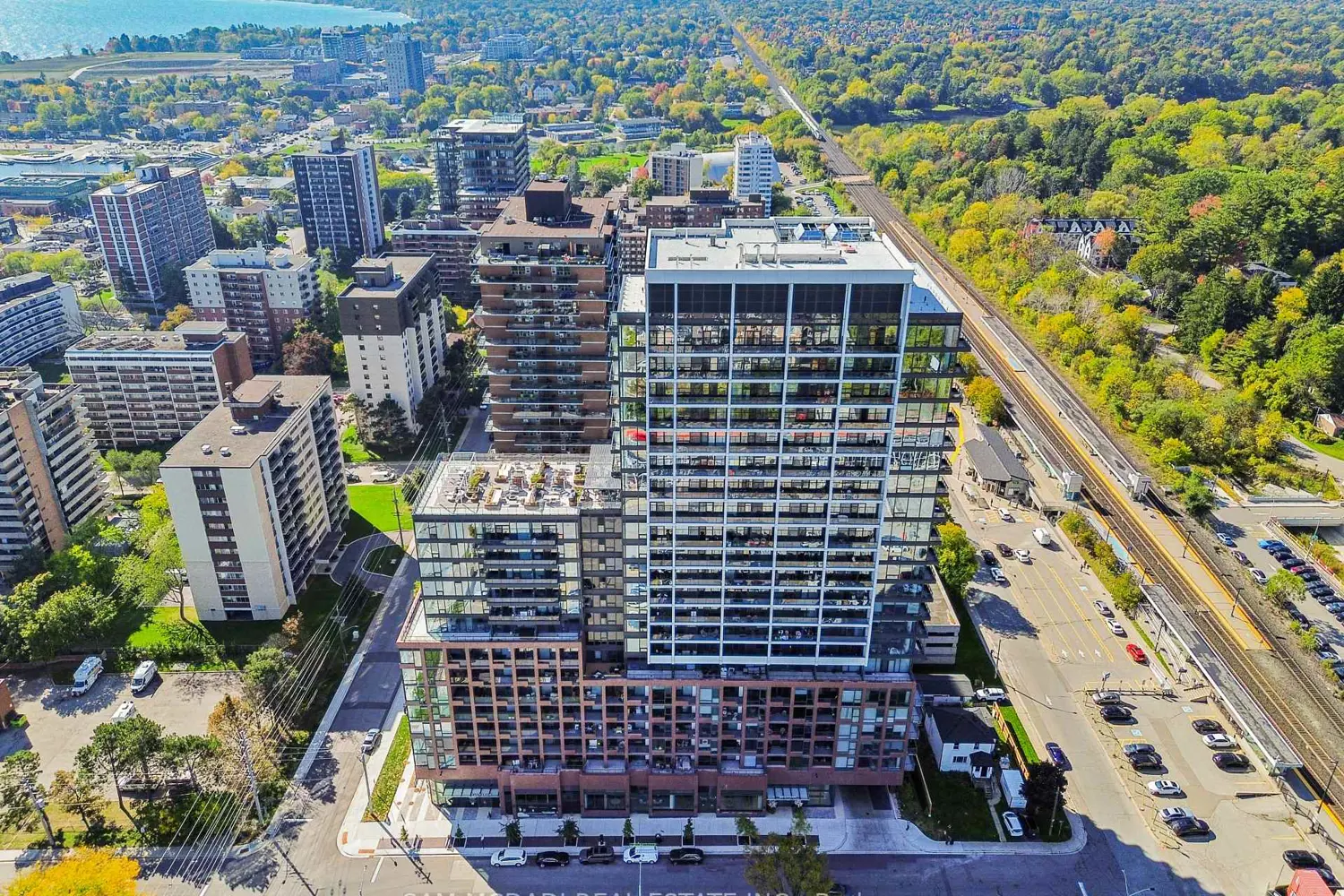 28 Ann Street 813 photo 2