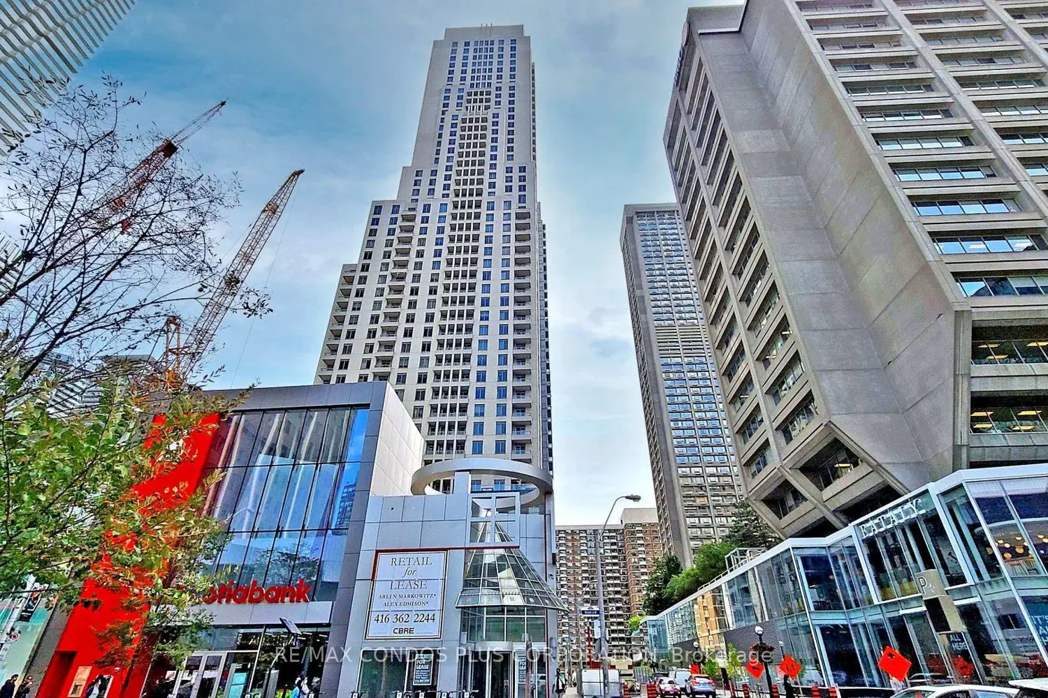 35 Balmuto Street 3302