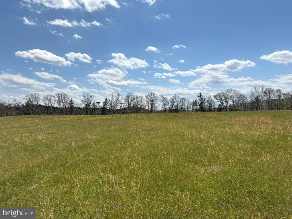 Additional image 10 of 8.25 AC Walnut Tree Lane, Paw Paw, WV 25434