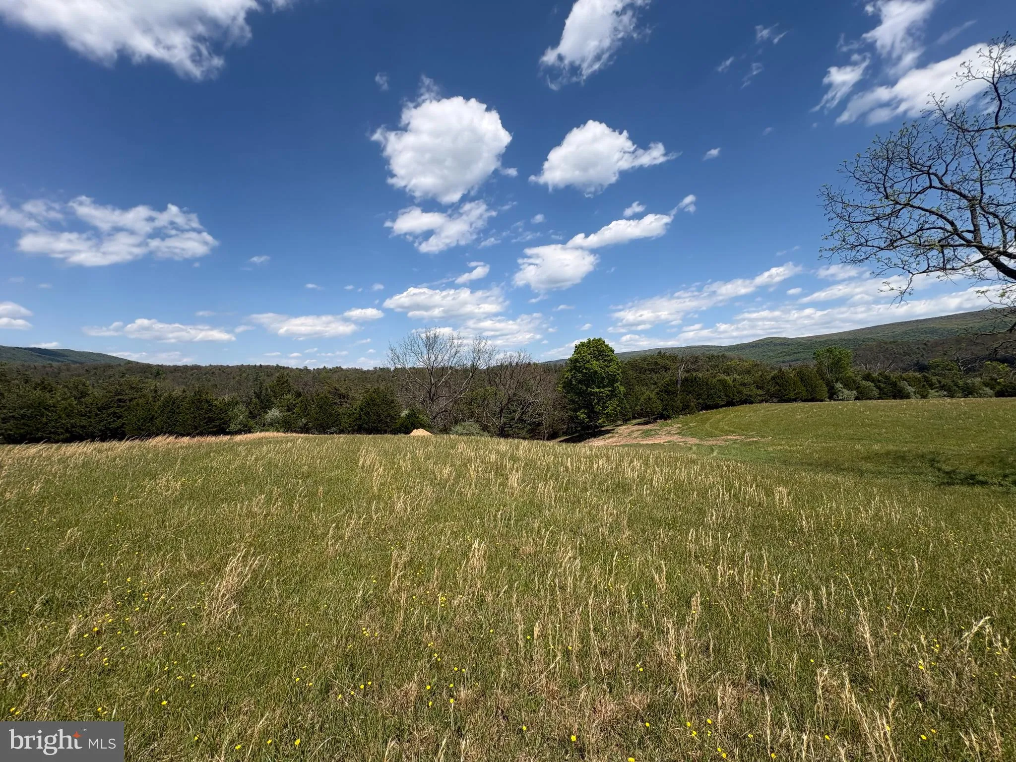 Additional image 60 of 8.25 AC Walnut Tree Lane, Paw Paw, WV 25434