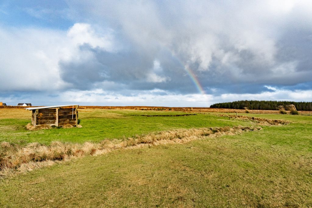 Additional image 31 of 3 bed detached bungalow for saleCanisbay, Wick KW1