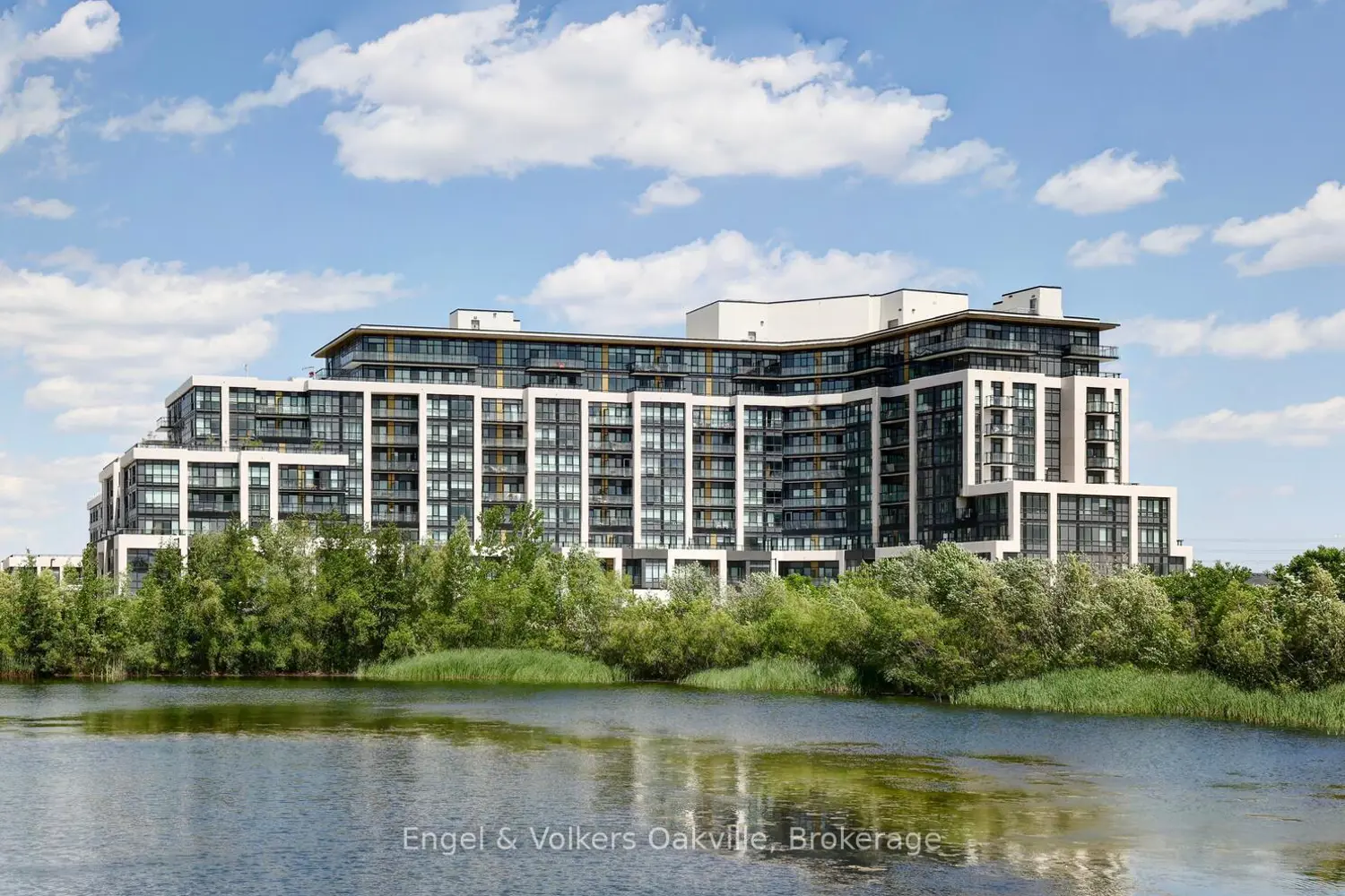 405 Dundas Street 307