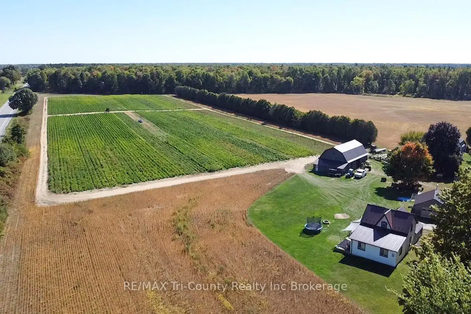 1225 1St Concession Enr Road photo 4