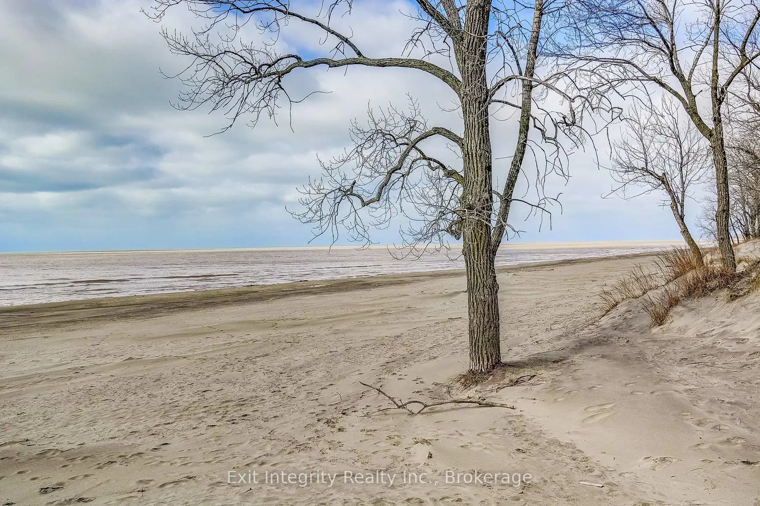 2 Beach Avenue photo 3