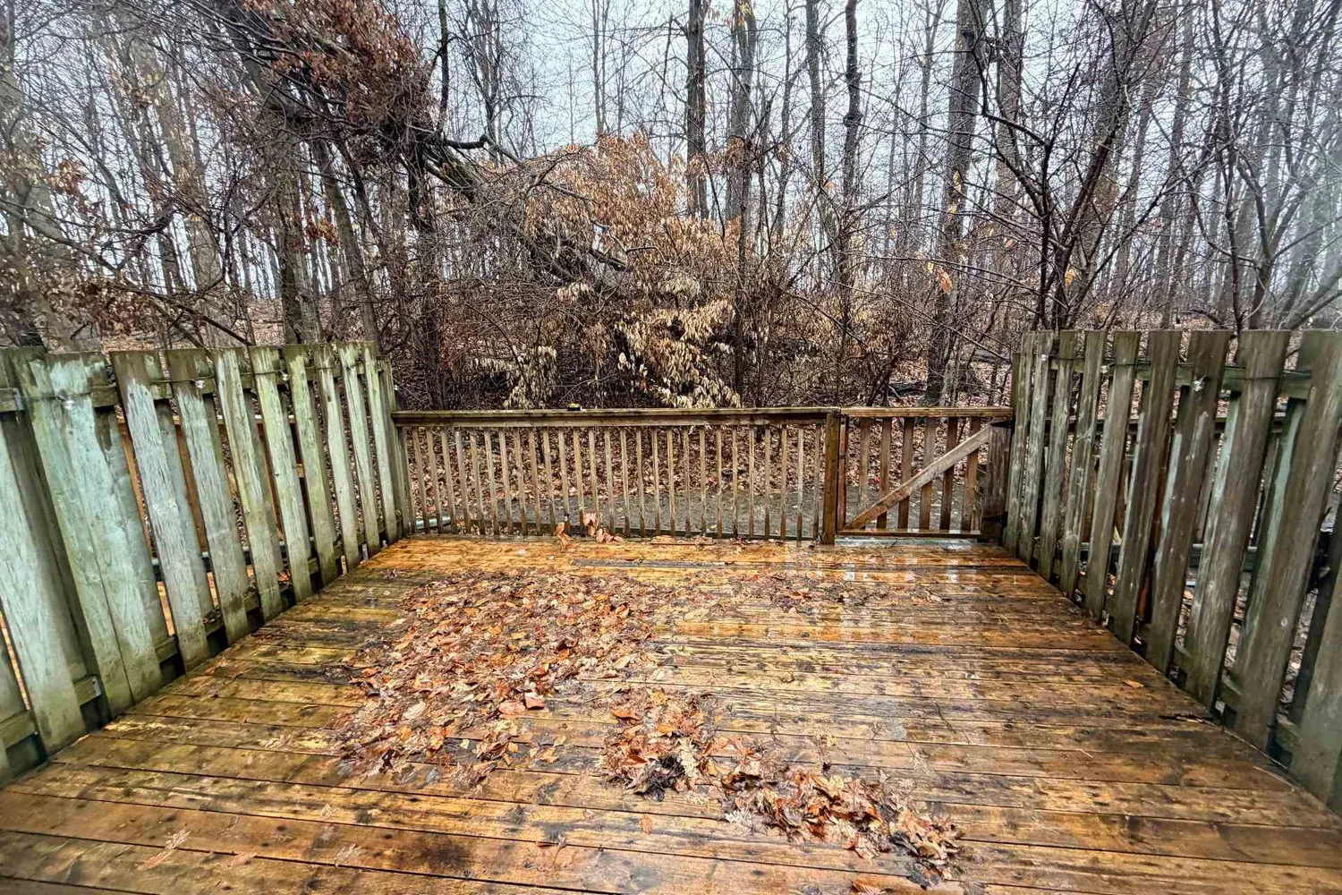 219 Kingswood Drive 29 photo 4
