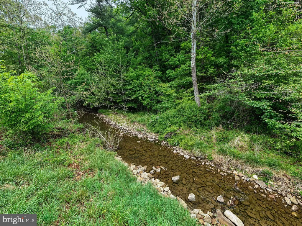 Additional image 68 of 2645 Dry Run Road, Luray, VA 22835