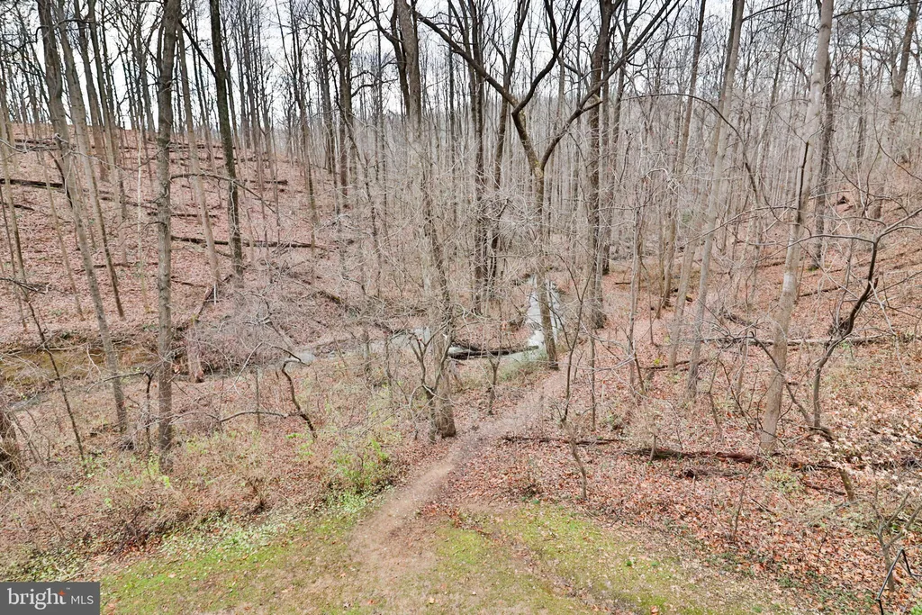 10488 Parthenon Court Unit 10488, Bethesda, MD 20817