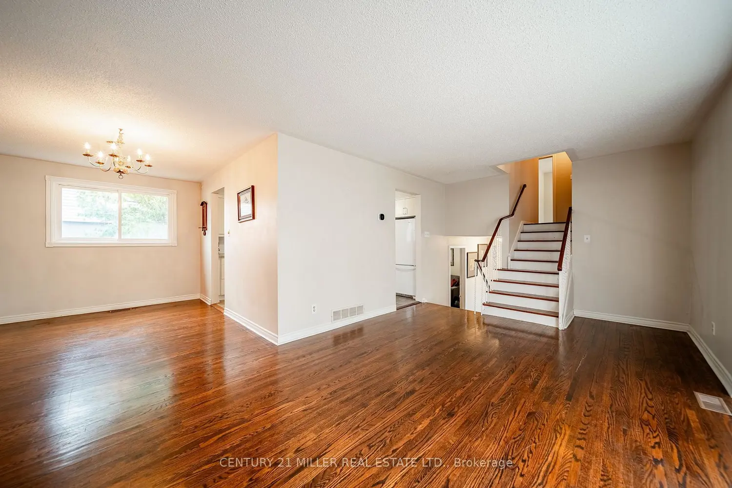557 Trafford Crescent photo 4