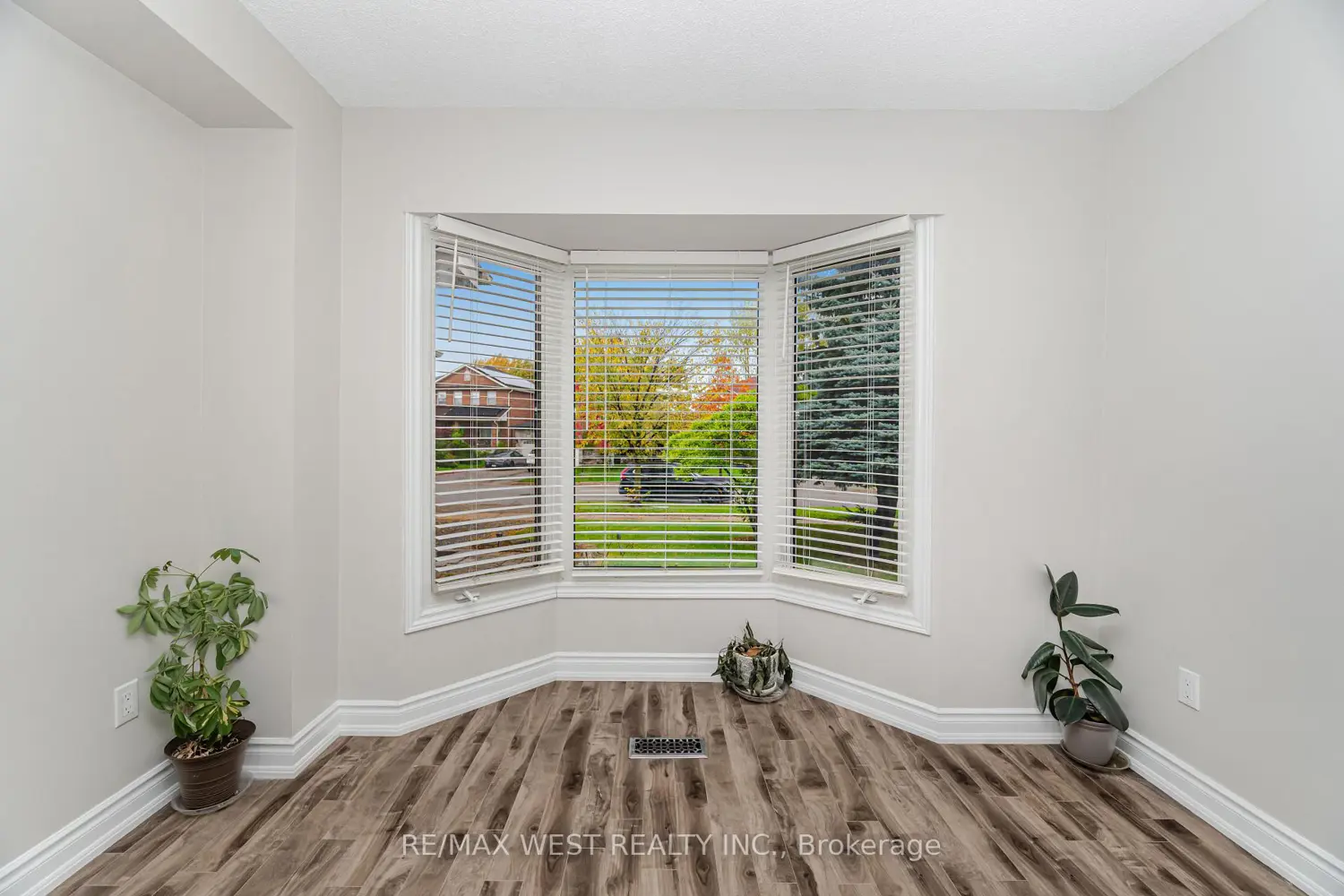 86 Dina Road photo 3