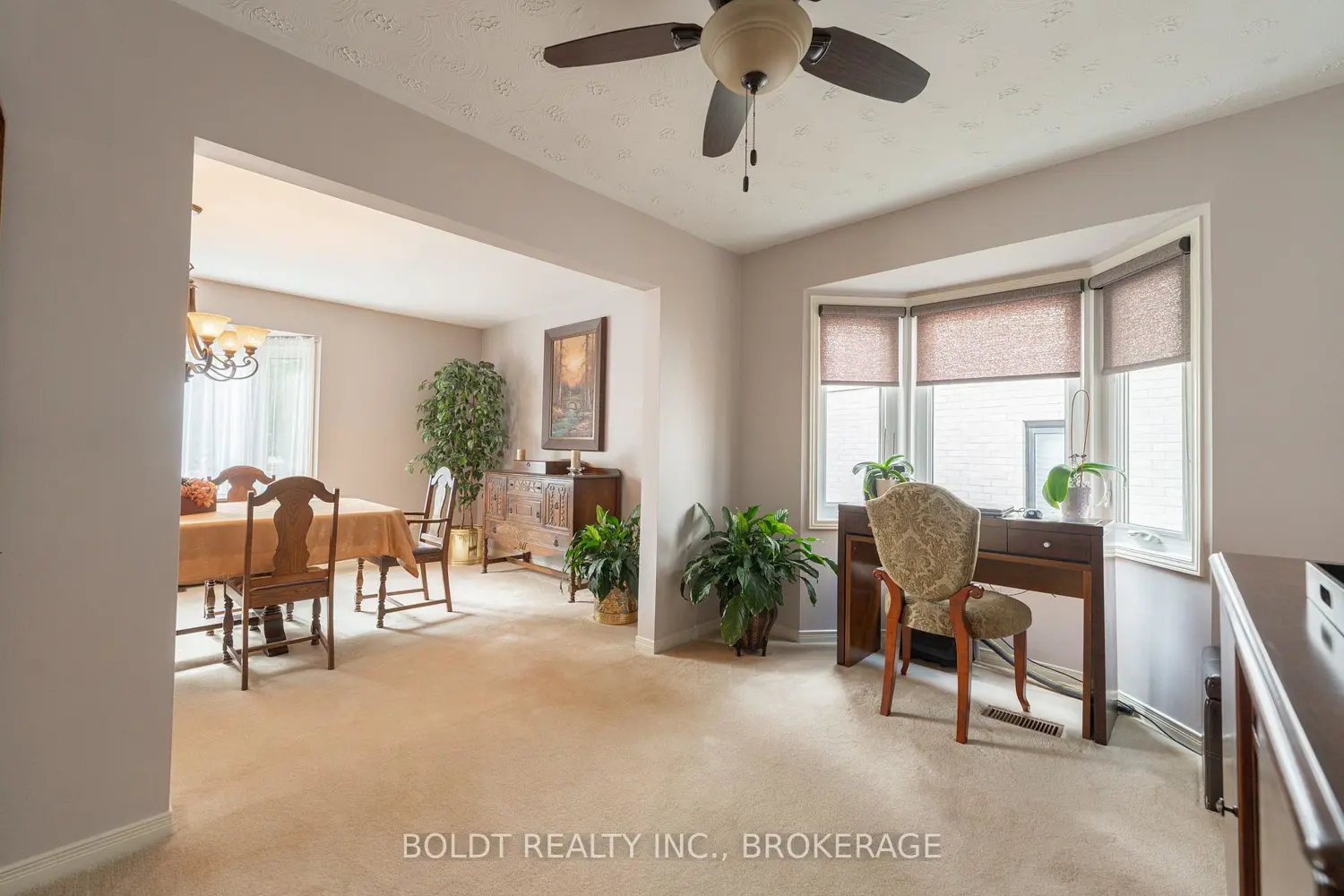48 Homestead Drive photo 5
