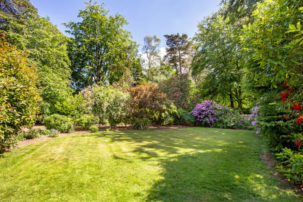 Additional image 23 of 5 bed detached house for saleTilford Road, Hindhead GU26