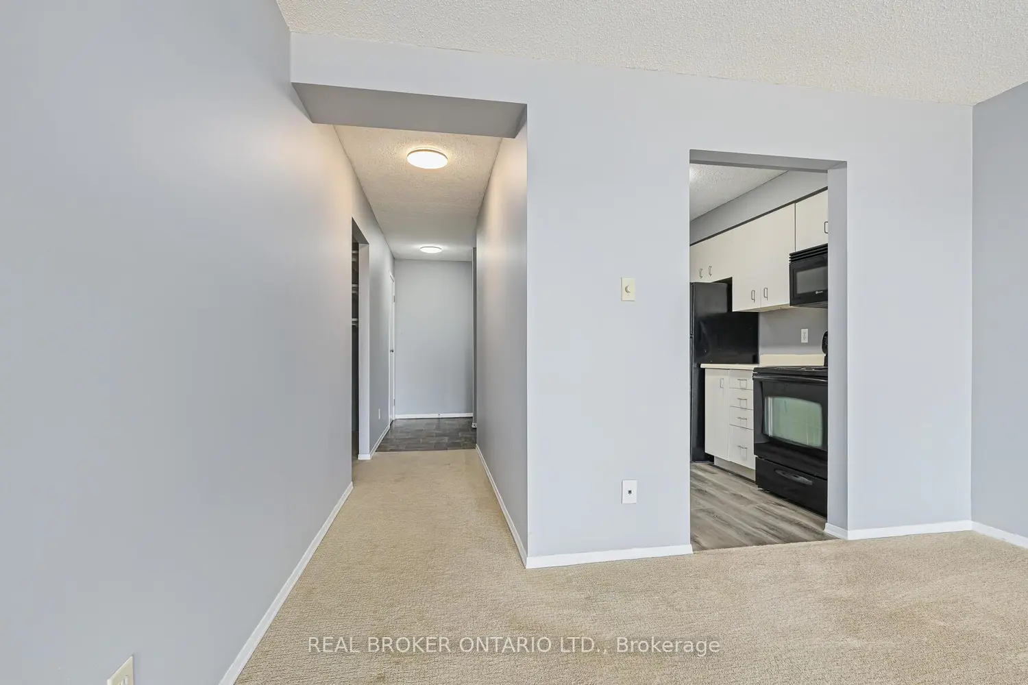 358 Waterloo Avenue 606 photo 5