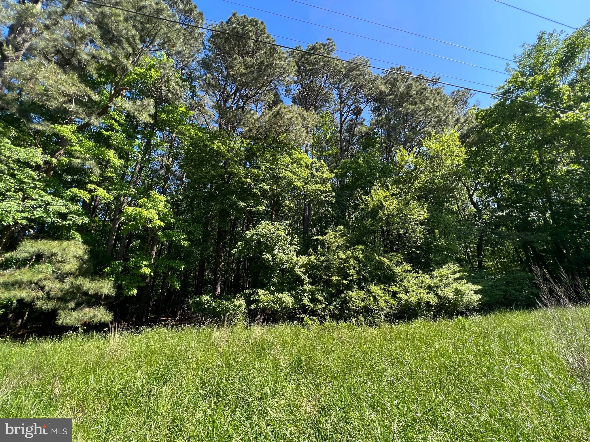 Additional image 29 of Parcel 40 Revells Neck Road, Westover, MD 21871