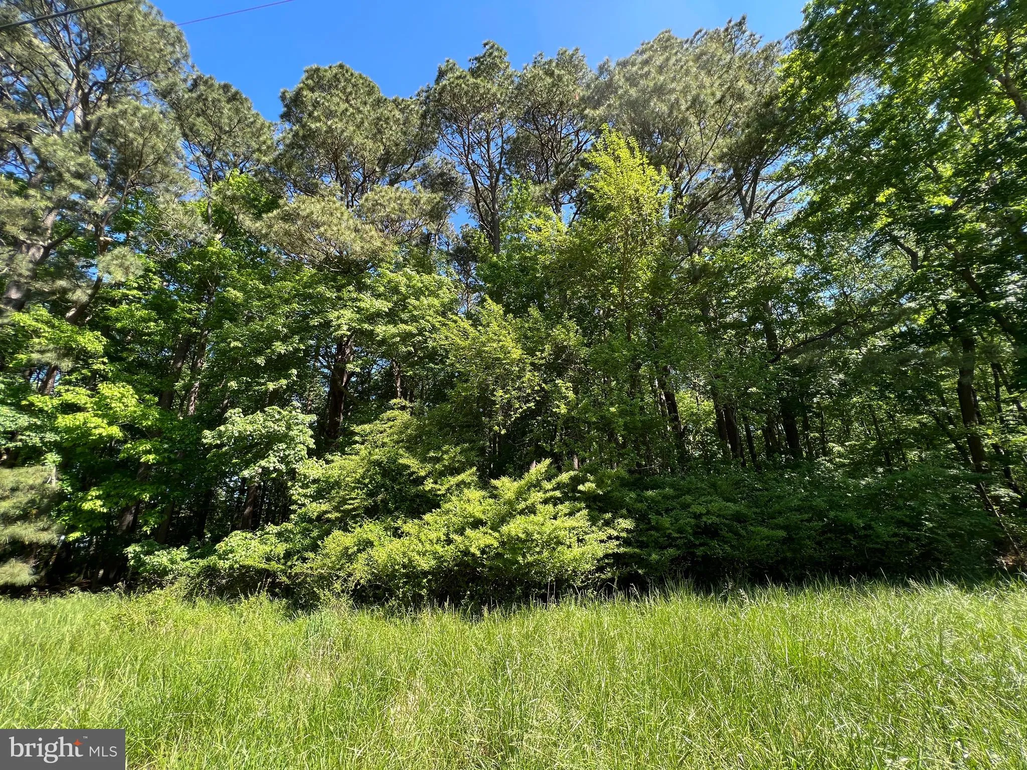 Additional image 30 of Parcel 40 Revells Neck Road, Westover, MD 21871