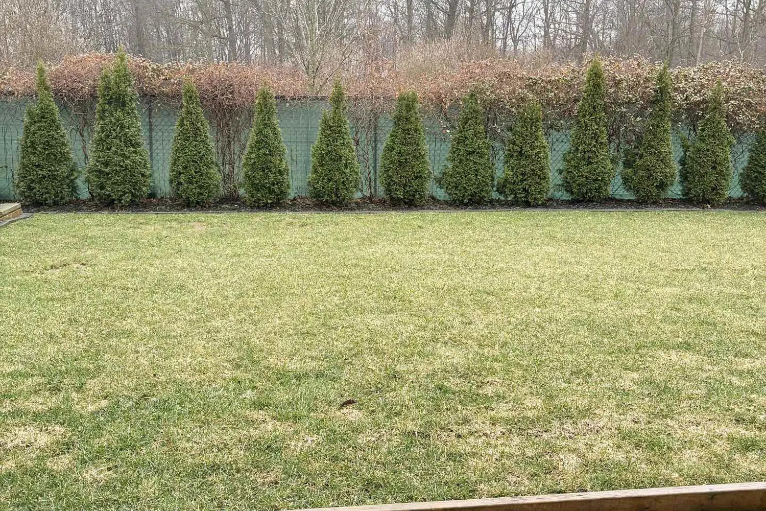 Additional image 13 of 8641 Dogwood Crescent