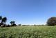 Additional image 5 of La Rue du Nord, St Ouen, Jersey, JE3