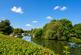 Additional image 21 of River Meads, Stanstead Abbotts, WARE